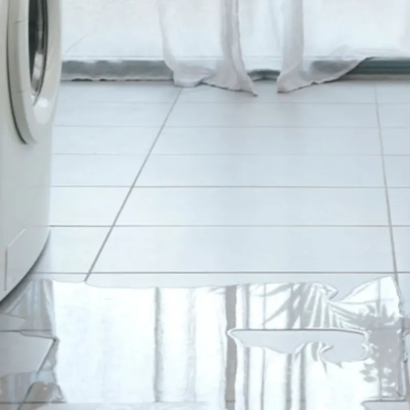 Appliance Leak Cleanup in Bloomington, IL