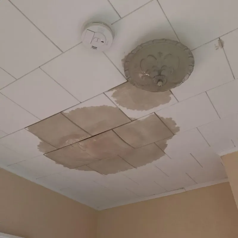 Ceiling Water Damage Repair in Bloomington, IL