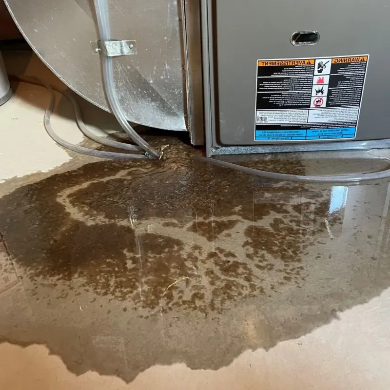 Pipe Burst and Leak Restoration in Bloomington, IL