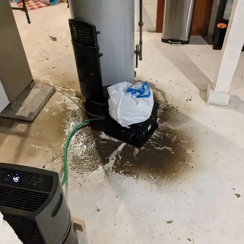 Sewage Backup Cleanup Service in Bloomington, IL